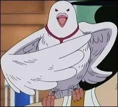 Comment se nomme le pigeon de Rob Lucci ?