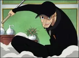 A quoi ressemble le fruit du démon de Kaku ?