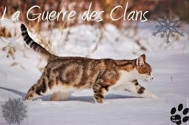 Quiz Guerre