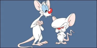 Quel est le titre de ce dessin animé : "Minus et..."