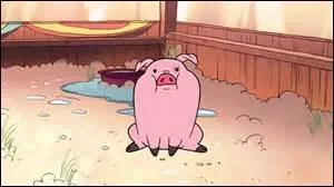 Où Mabel a-t-elle eu Dandinou ?