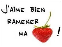 Bien évidemment, personne ne m'a demandé mon avis, et pourtant je ne peux m'empêcher de « ramener ma fraise ». 
Quelle est l'expression équivalente ?