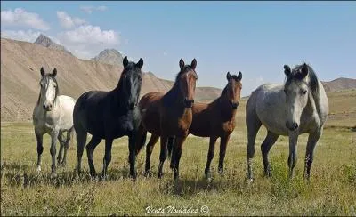 O&ugrave; vit-il le plus souvent ?