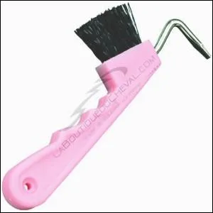 Comment appelle-t-on cette brosse pour le pansage ?