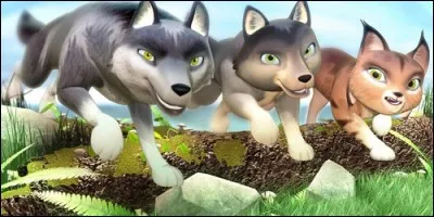 Comment s'appelle le futur chef de meute dans "Les Légendes de Takonka" ?