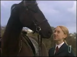 Comment s'appelle le cheval de Stéphanie dans la saison 2 ?