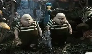 Comment se nomment les jumeaux ?