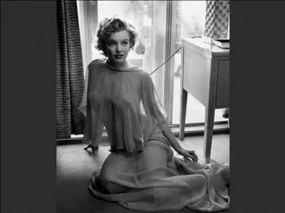 Pour quel calendrier avait-elle posée nue ?