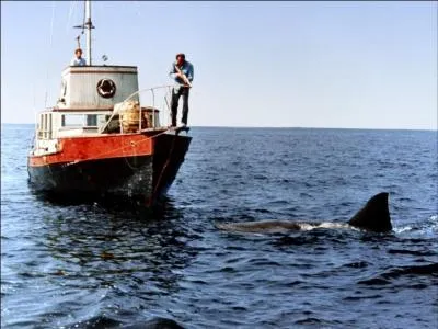 Comment s'appelle ce bateau ?