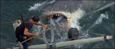 Comment meurt le requin à la fin du film ?