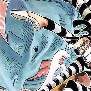 Quel type de vêtements Minorhinocéros porte-t-il ?