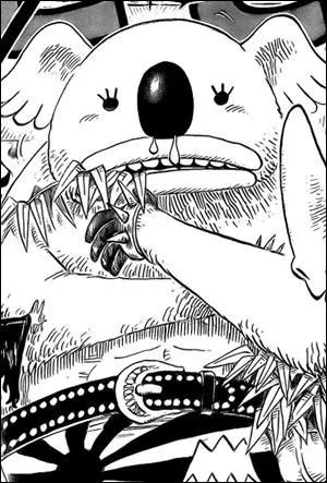 De quelle couleur est le nez de Minokoala ?