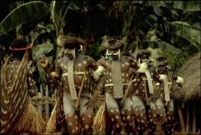 Quelle est la langue officielle de Papouasie Nouvelle-Guinée ?