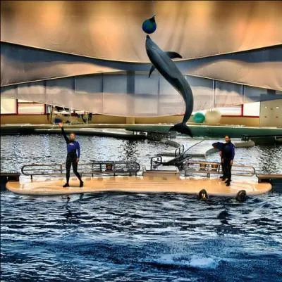 A quel journal pensez-vous en voyant la photo ?