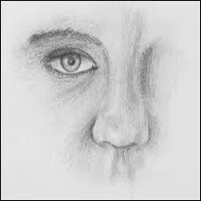 Ce dessin a été réalisé par Michael Jackson.