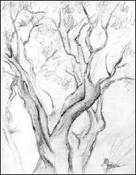 A-t-il réalisé ce dessin-là ?