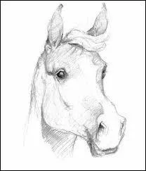 Ce dessin a été fait par Michael.