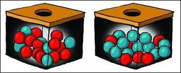 Quel nom qualifie chaque résultat possible ?