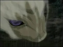 Quel est le véritable aspect de Kyô Sôma ?