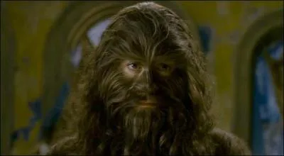 Le nom de ce film dans lequel il joue, la réplique exacte de Chewbacca ? (non sérieux, c'est un vrai film, j'vous jure)