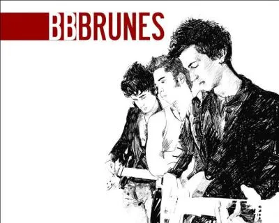 Qui des quatre membres a fait une carrière solo ?