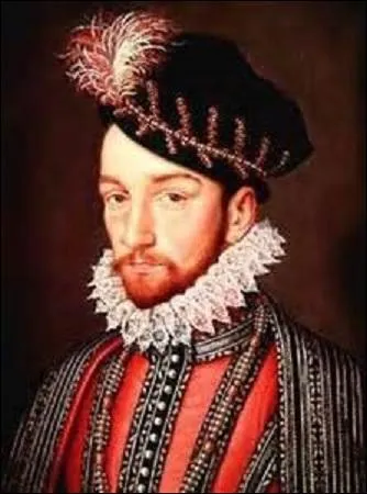 Dans la nuit du 24 août 1572, l'ancienne régente Marie de Médicis et son fils, donnent l'ordre d'assassiner tous les protestants de Paris, ce sera la Saint-Barthélémy. Apparemment avec le temps, on s'aperçoit que ce dernier aurait essayé d'arrêter ce massacre, mais trop tard. La nuit suivante, Orléans est touchée, 800 à 1 000 morts sont à déplorer. Mais qui est le roi de France à cette époque ?