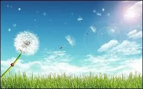 Quel gaz est le plus présent dans l'air ?