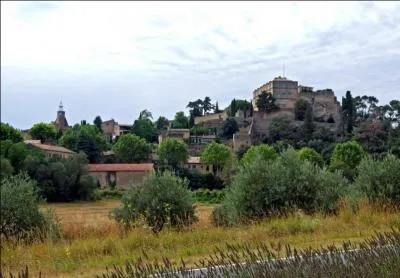 Quel est ce beau village du Vaucluse ayant le le Grand Luberon et la Durance pour horizons qui est dominé par un château millénaire ?