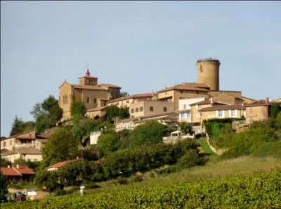 Dans quel département irons-nous visiter le charmant village d'Oingt surplombant la vallée de l'Azergues , petit bourg qui est la "merveille" du pays des Pierres dorées ?