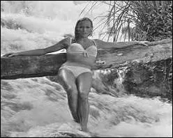 Le bikini s'appelle-t-il aussi un deux-pièces ?