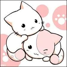 A combien de lunes deviens-tu apprenti ?