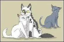 Comment est morte ¨Pelage de Neige ?