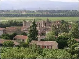 Commune languedocienne de l'arrondissement de Carcassonne, Roquecourbe-Minervois se trouve dans le département ...