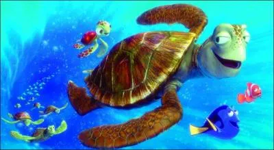 Comment s'appelle la tortue ?