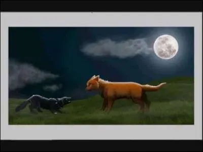 Qui sont ces demi-frères / demi-soeurs ?