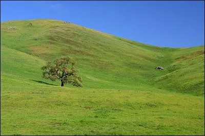 La grand-mère du petit Chaperon Rouge habite...