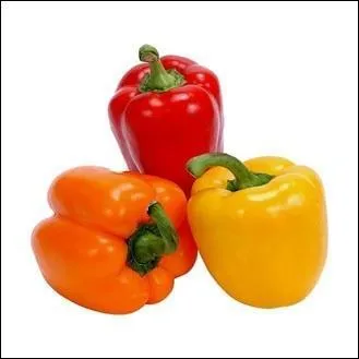 Quel est l'aliment sur l'image ?