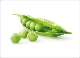 Quel est l'aliment sur l'image ?