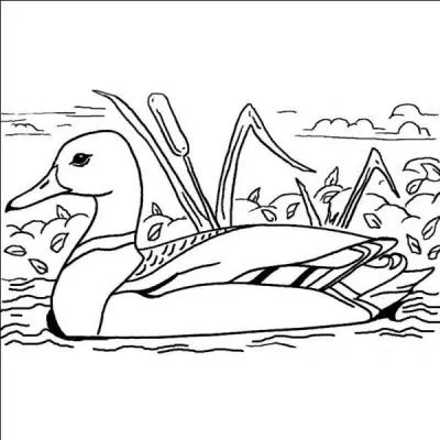 Quel est l'oiseau sur l'image ?