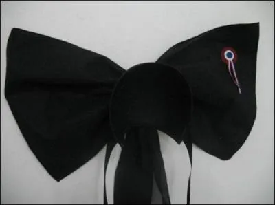 Là, aucun doute, il s'agit forcément d'une coiffe...