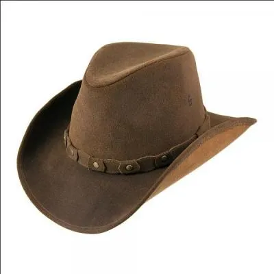 Chapeau des cow-boys à l'origine, vous ne pouvez pas le rater.