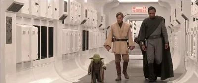 Quel est le premier personnage qui vient voir ce qui se passe au temple Jedi ?