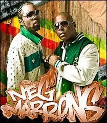 Le groupe français Nèg' MARRONS fait du rap et du reggae. Que désignait l'expression ''nègre marron'' à l'époque de l'esclavage ?