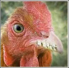 Lorsque vous désirez dire à quelqu'un que ce qu'il souhaite ne se réalisera jamais, quelle expression emploierez-vous ?