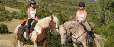 Quelle est cette discipline ?