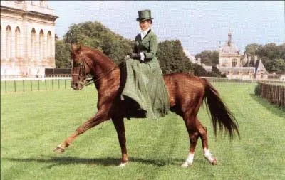 Quelle est cette discipline ?