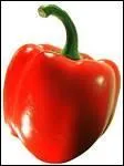 Quelles sont les différentes sortes de poivrons ?