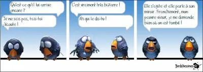 'Les femmes sont comme des miroirs, elles réfléchissent mais ne pensent pas. ' Indice : Philosophe allemand (pas vraiment drôle)