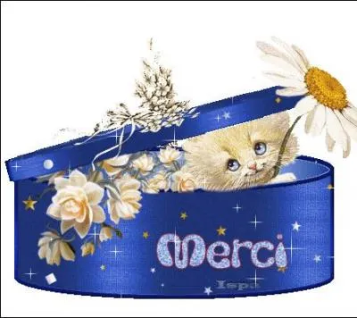 Trois lettres, un nombre, impressionnant, cité plus haut, un avatar utilisé deux fois dans ce quiz, et vous savez que je -------- cette célébrité toujours courtoise, aimable, serviable et fidèle.