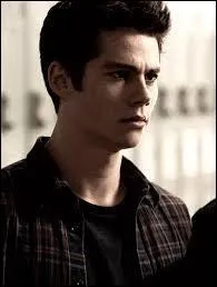 Dans la saison 1, de qui est amoureux Stiles Stilinski ?
